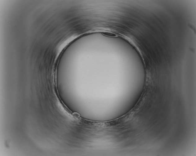 X0000101951003200808081501