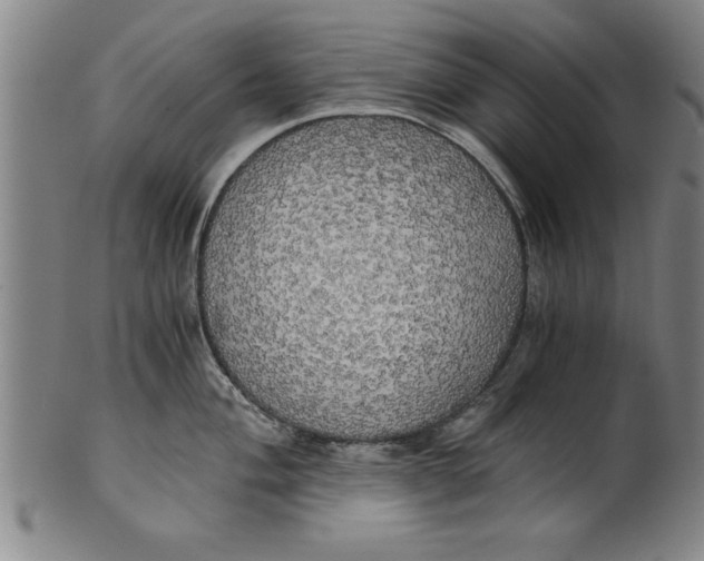 X0000101951004200808081501
