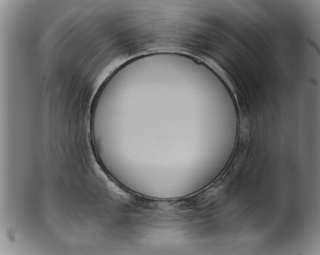 X0000101951005200808081501