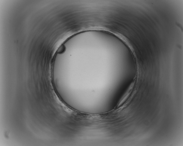 X0000101951006200808081501