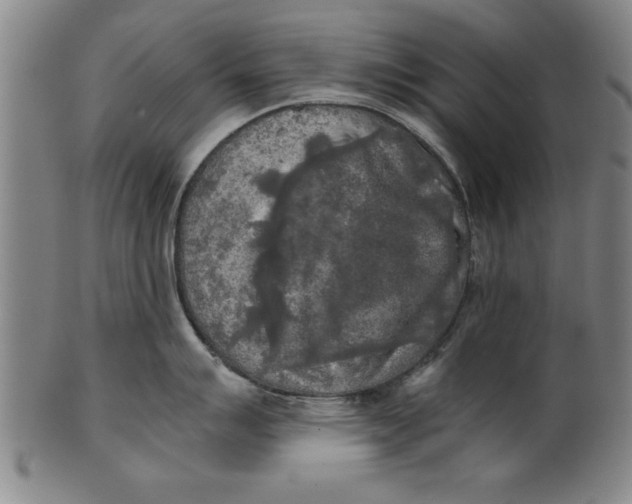 X0000101951007200808081501