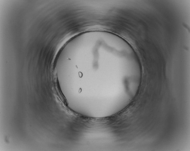 X0000101951008200808081501