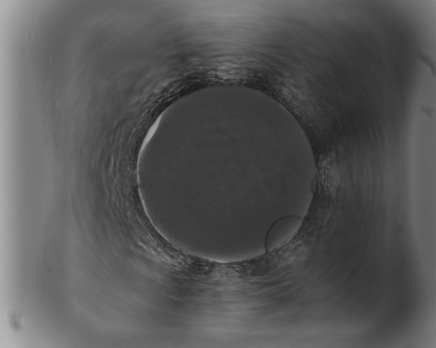 X0000101951009200808081501