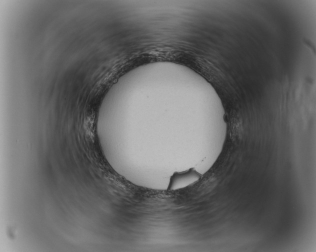 X0000101951010200808081501
