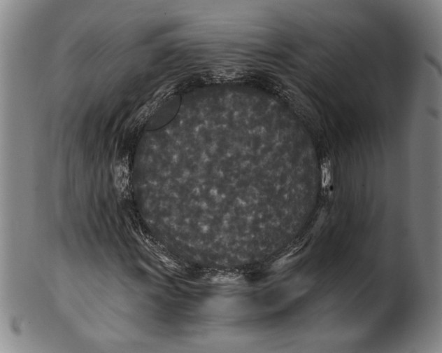 X0000101951011200808081501