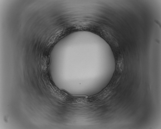 X0000101951012200808081501