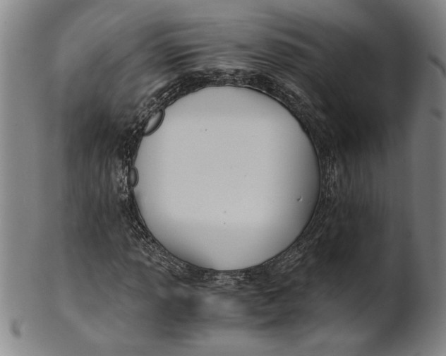 X0000101951013200808081501