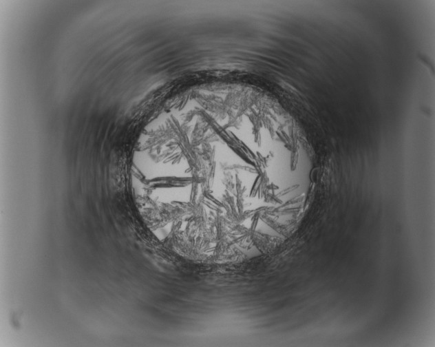 X0000101951014200808081501
