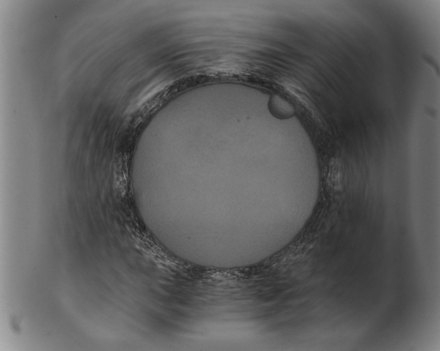 X0000101951015200808081501