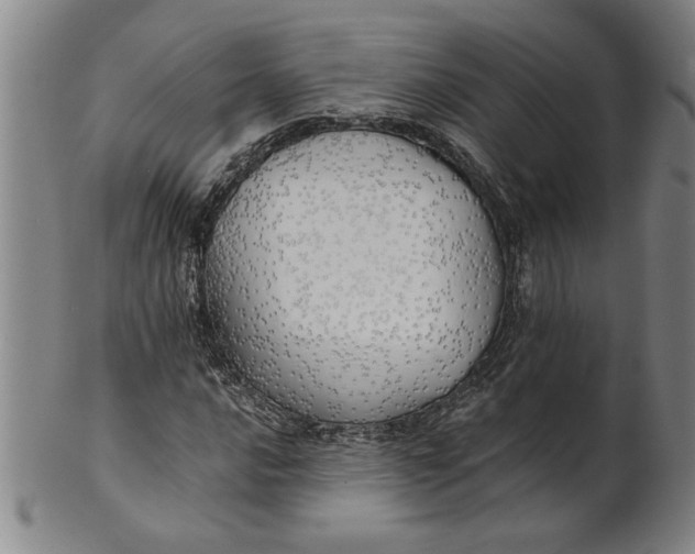 X0000101951016200808081501