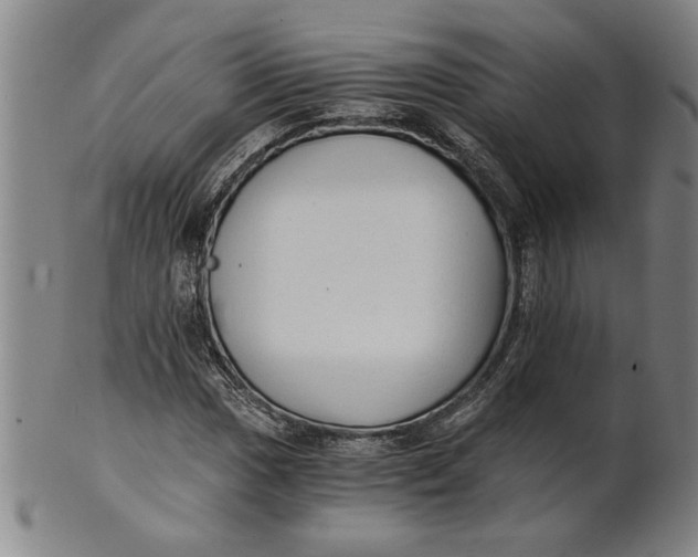 X0000101951017200808081501