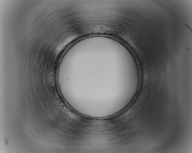 X0000101951018200808081501