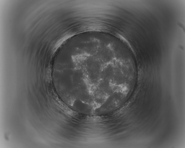 X0000101951019200808081501
