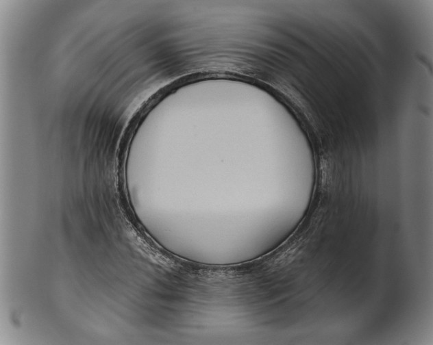 X0000101951020200808081501