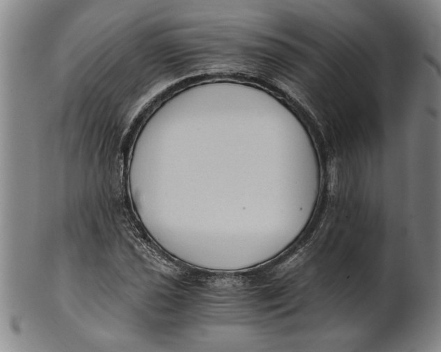 X0000101951021200808081501