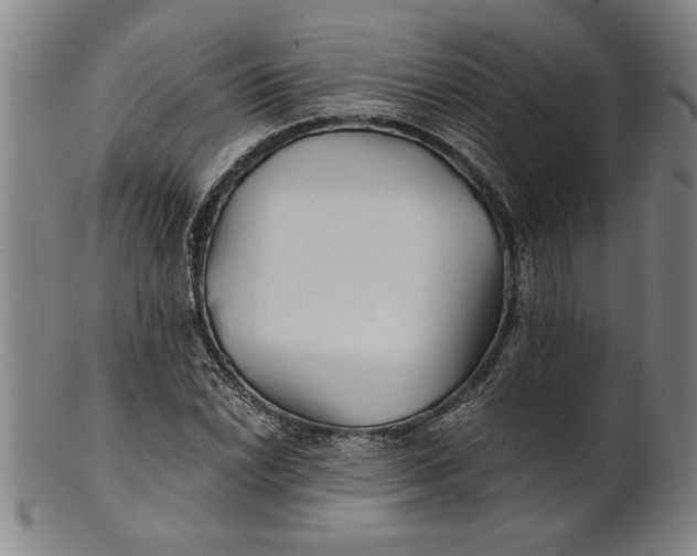 X0000101951022200808081501