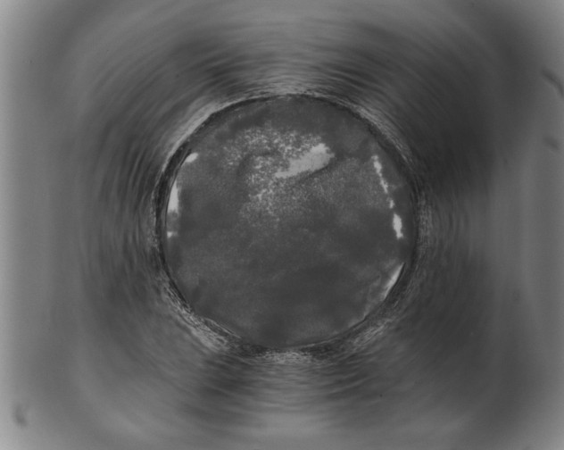 X0000101951023200808081501