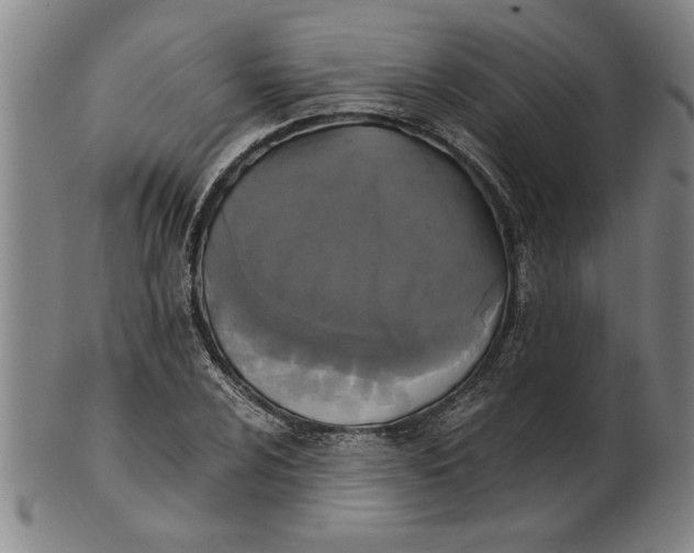 X0000101951024200808081501