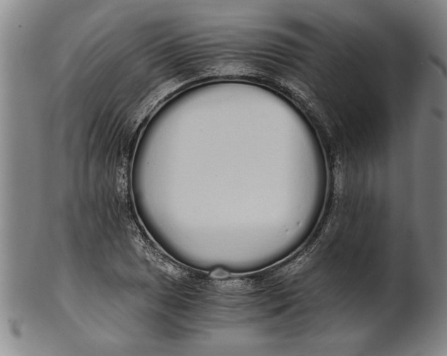 X0000101951025200808081501
