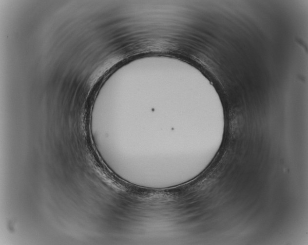 X0000101951026200808081501