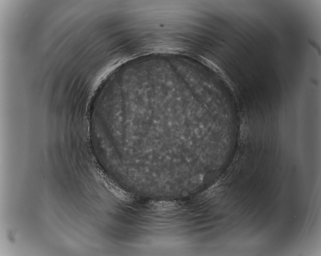 X0000101951027200808081501