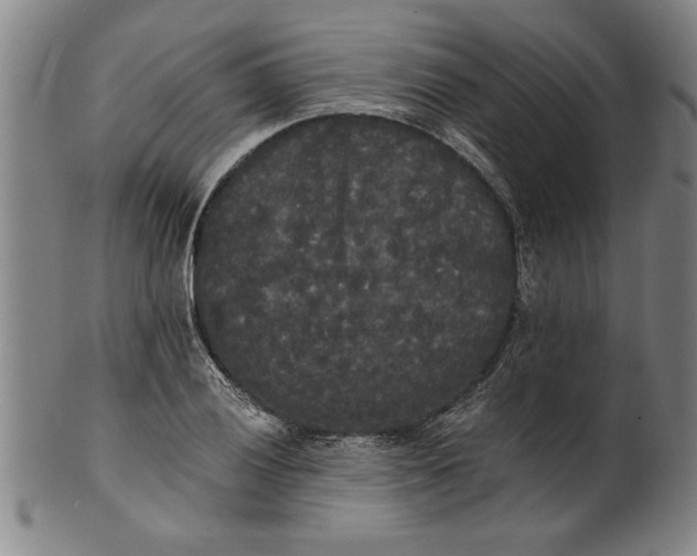 X0000101951028200808081501