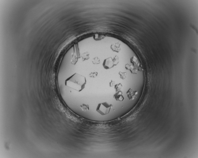 X0000101951029200808081501
