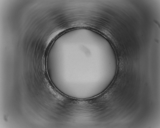 X0000101951030200808081501