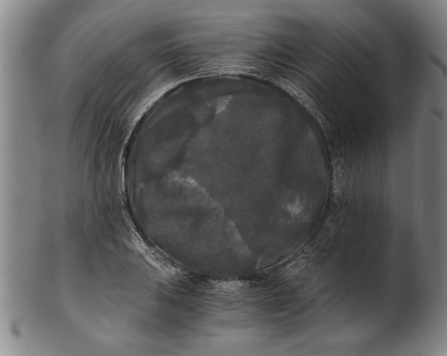 X0000101951031200808081501