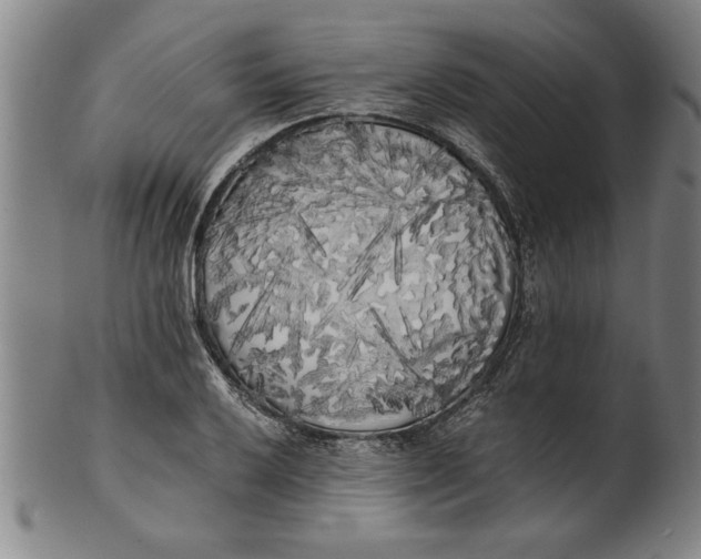 X0000101951032200808081501