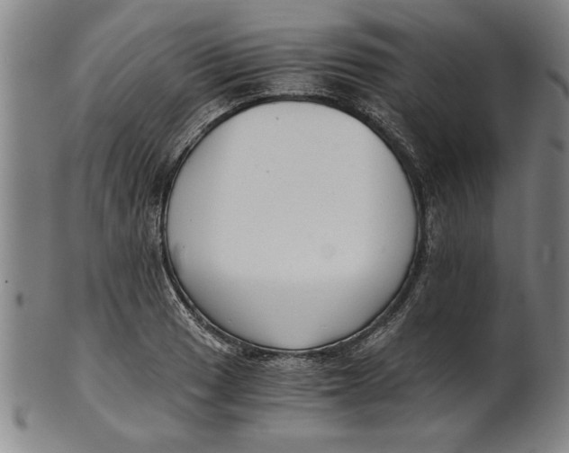 X0000101951033200808081501