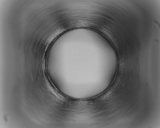 X0000101951034200808081501