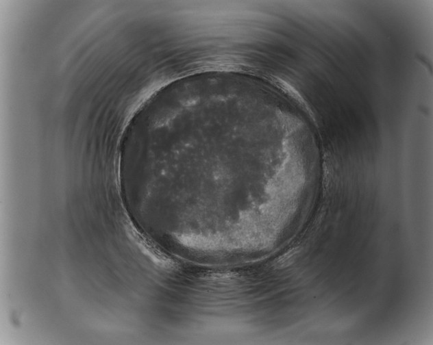 X0000101951035200808081501