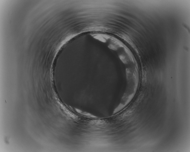 X0000101951037200808081501