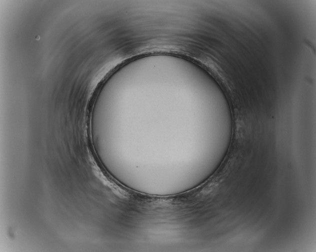 X0000101951038200808081501