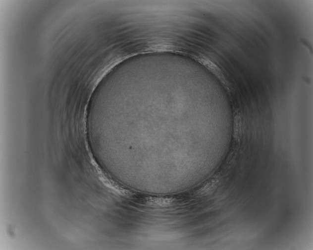 X0000101951039200808081501