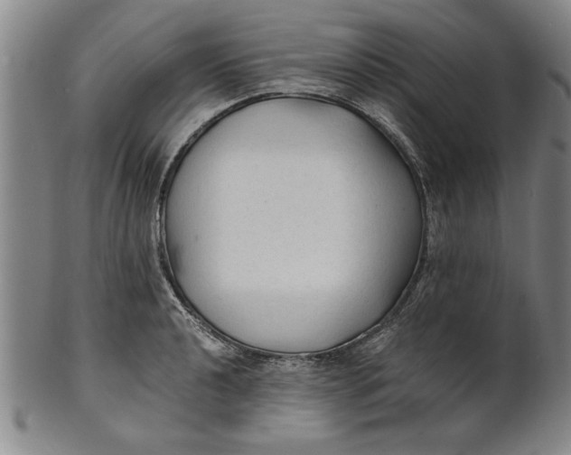 X0000101951040200808081501
