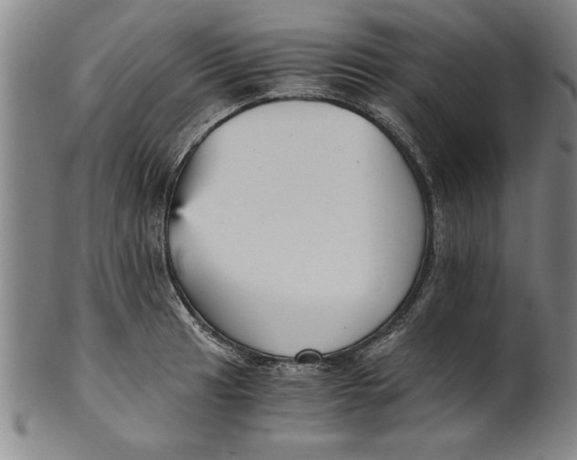 X0000101951041200808081501