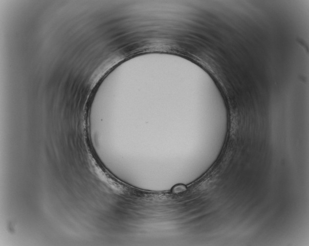 X0000101951042200808081501