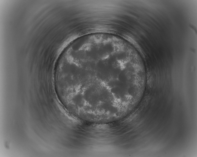 X0000101951043200808081501