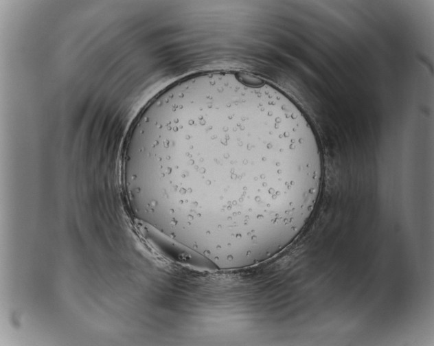 X0000101951044200808081501