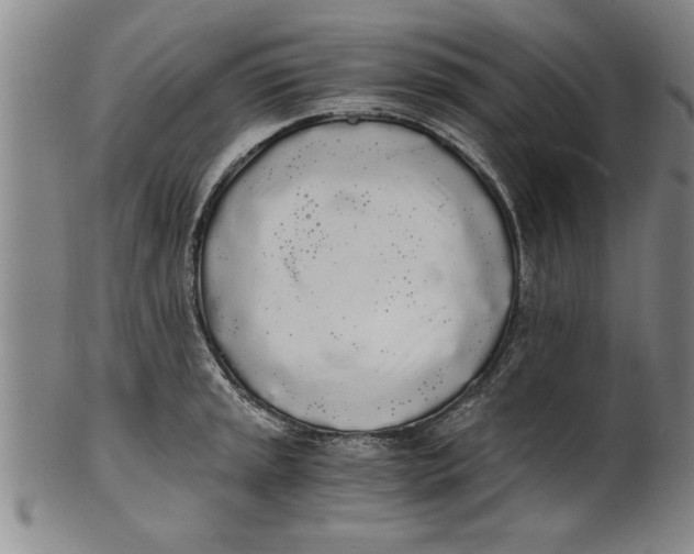 X0000101951045200808081501