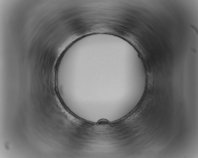 X0000101951046200808081501