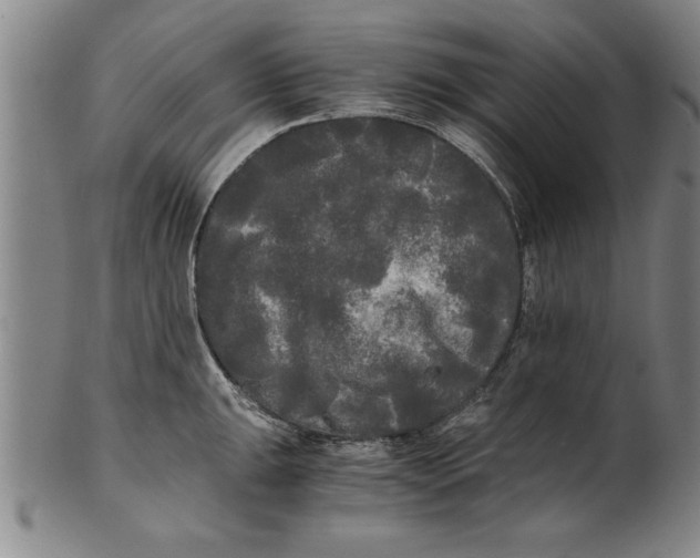 X0000101951047200808081501