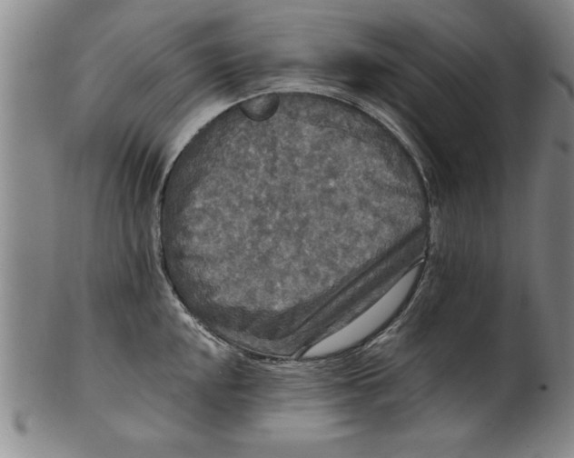 X0000101951048200808081501