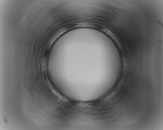 X0000101951049200808081501