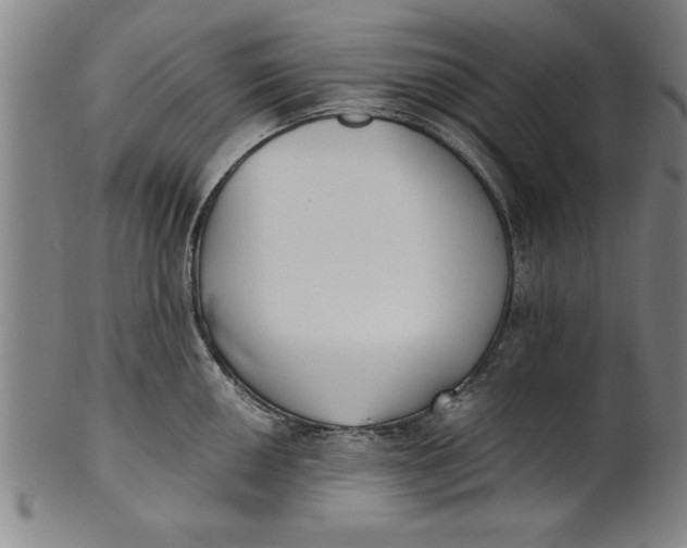 X0000101951050200808081501