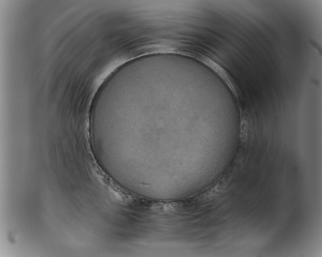 X0000101951051200808081501