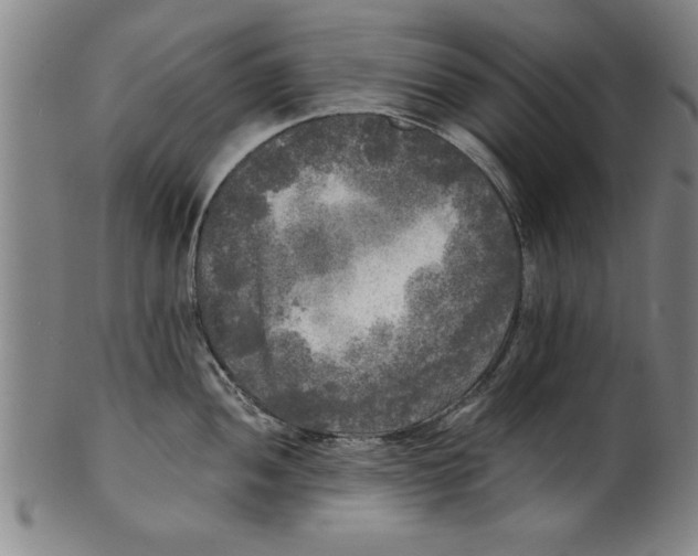 X0000101951052200808081501