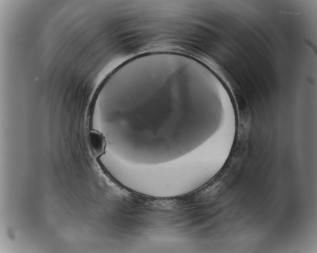 X0000101951053200808081501